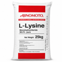 lisina